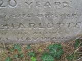 image of grave number 443849